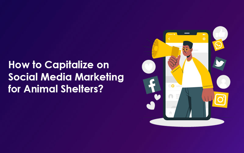 How to Capitalize on Social Media Marketing for Animal Shelters?